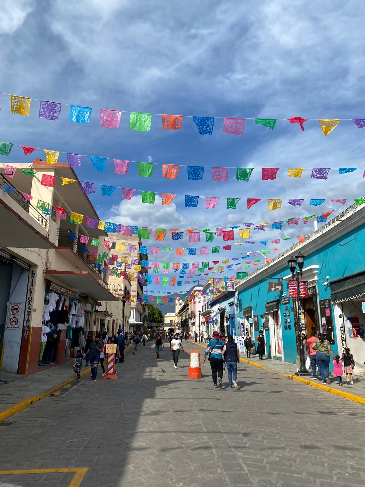 Things to do in Oaxaca City on a Budget- Everything You Need to ...